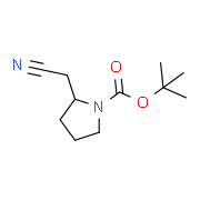 1-Boc-2-(cyanoMethyl)pyrrolidine 1092352-11-8